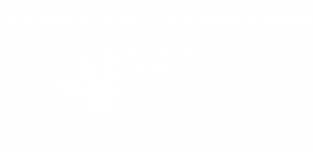 Logo MES